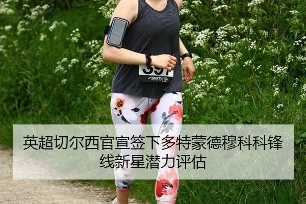 ying-chao-qie-er-xi-guan-xuan-qian-xia-duo-te-meng-de-mu-ke-ke-feng-xian-xin-xing-qian-li-ping-gu-3-550.jpg
