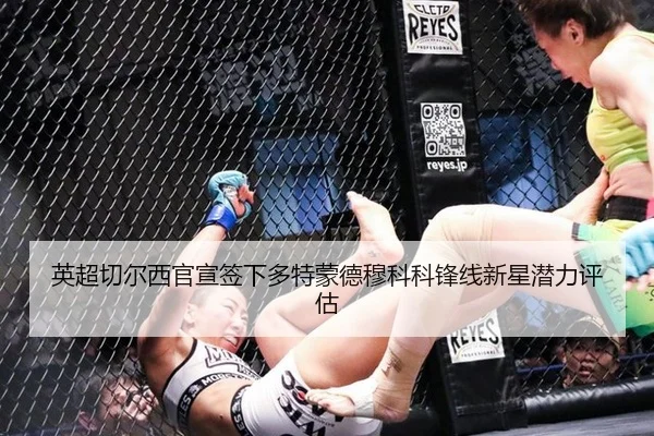ying-chao-qie-er-xi-guan-xuan-qian-xia-duo-te-meng-de-mu-ke-ke-feng-xian-xin-xing-qian-li-ping-gu-1-737.jpg
